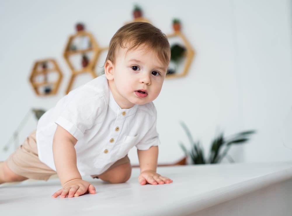 picture of baby crawling on table