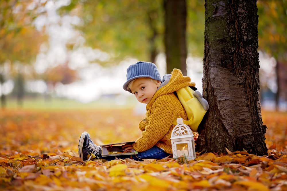 picture of toddler boy leaning against a tree surrounded by fall leaves