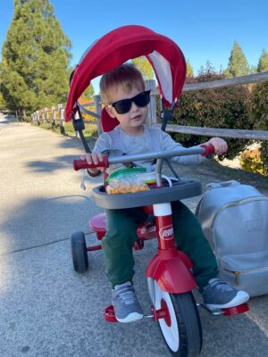 The 11 Best Toddler Tricycles with Push Handle (2024 Update) – The Hadicks