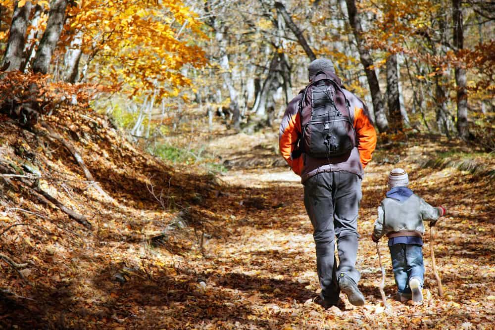 picture of father and son hiking in the woods