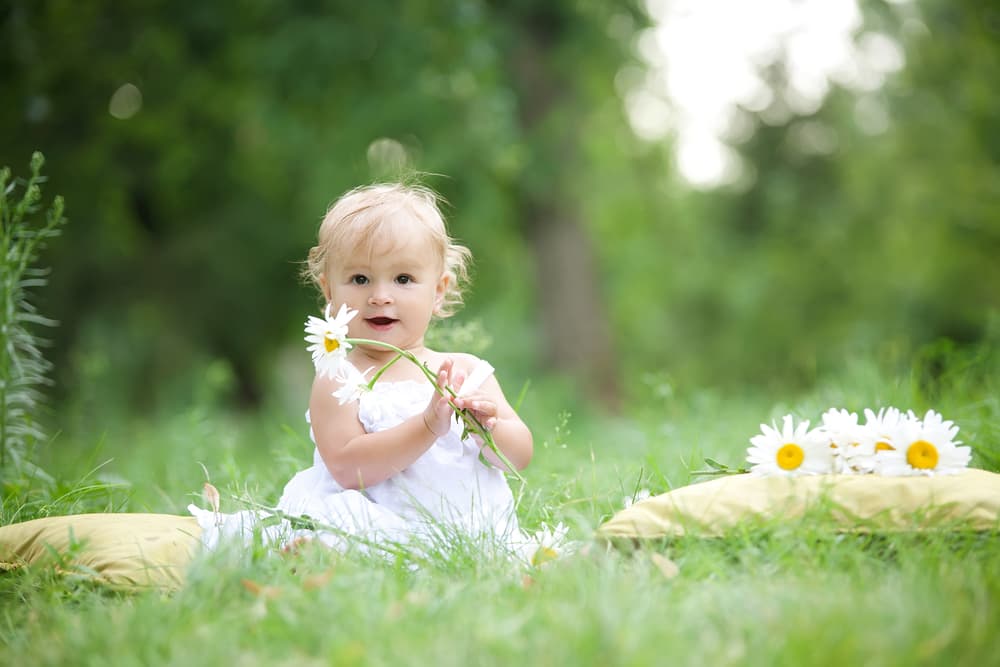 picture of toddler girl in a field holding flowers