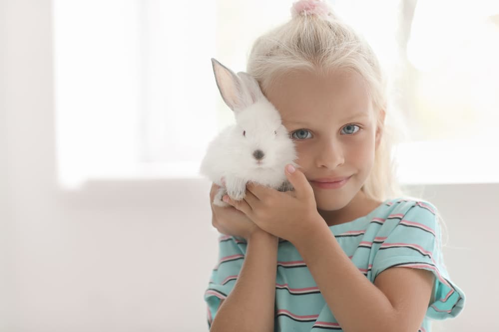 little girl holding a white bunny rabbit