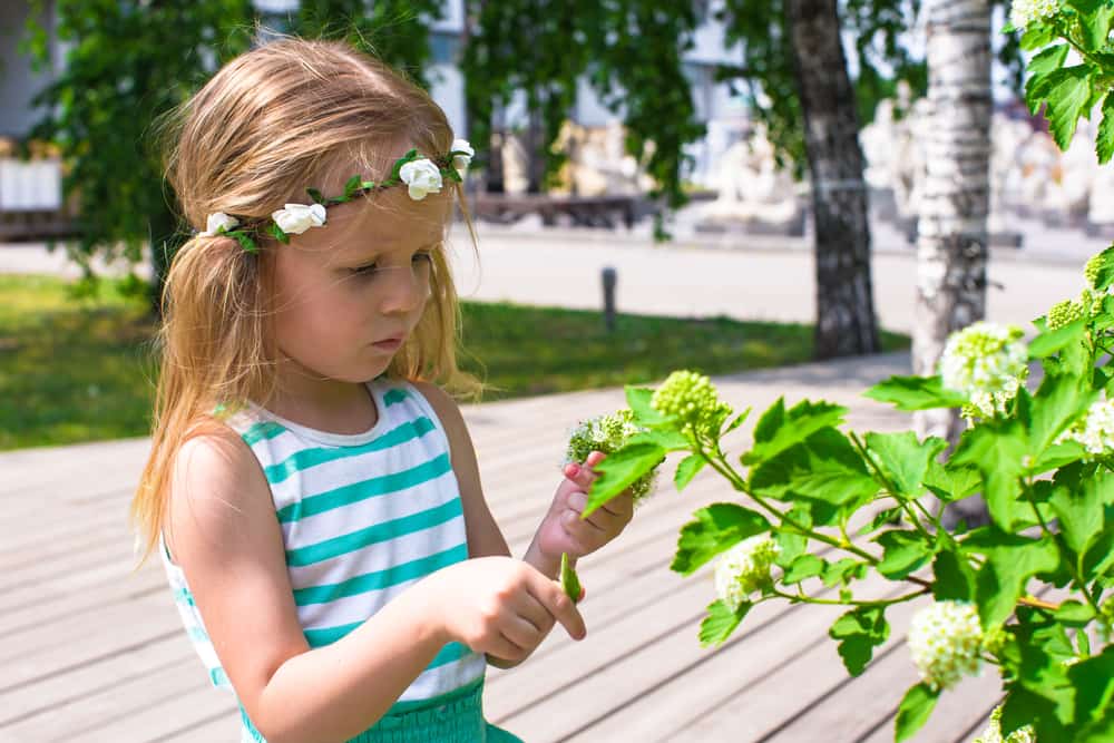 little girl in a garden with a flower crown