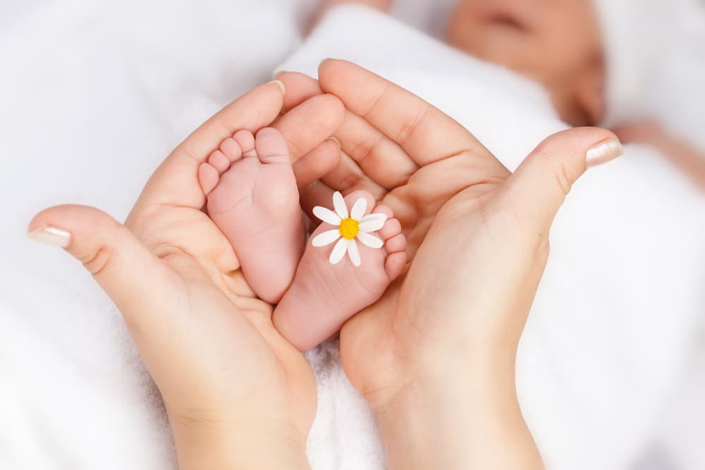 picture of mother's hands cupping newborn baby's feet